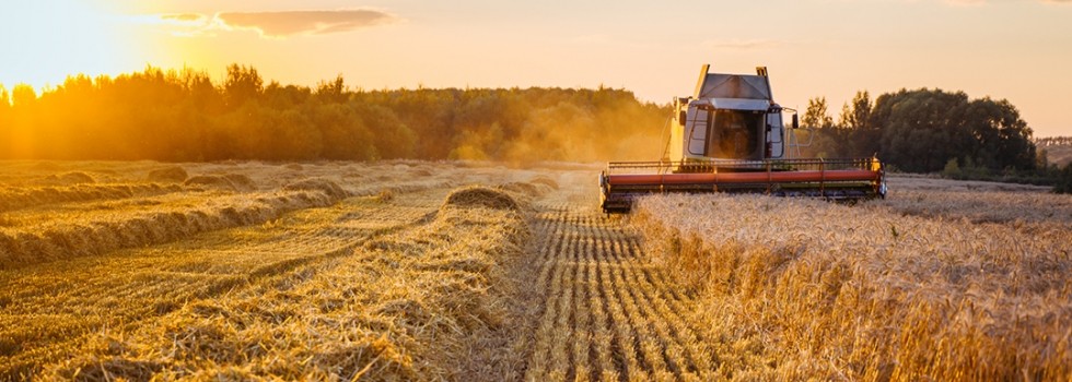 Harvest 2023: A challenging year in Europe