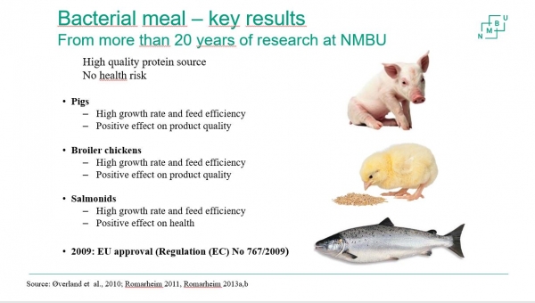bacterial meal key results