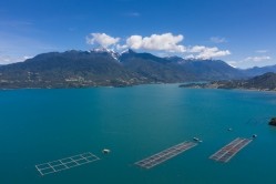 Aerial salmon farms at Reloncavi marine strait at Llanquihue National Park, Chile, South America. Image: Getty/aurquijofilms